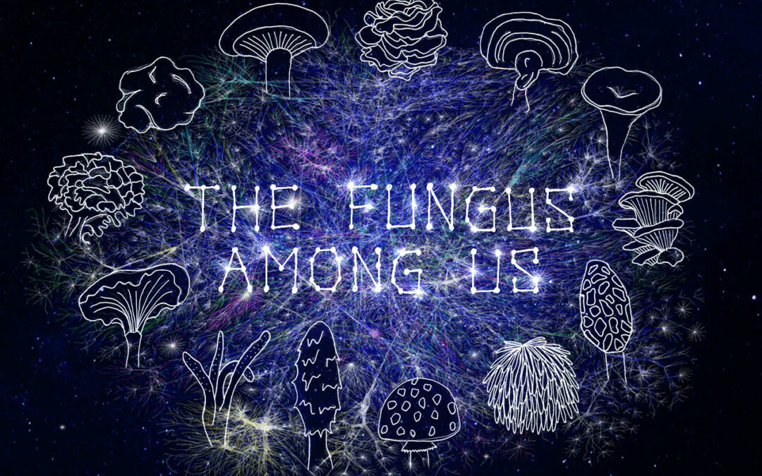 The Fungus Among Us